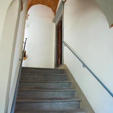 Il Piccolo Acero Lucca